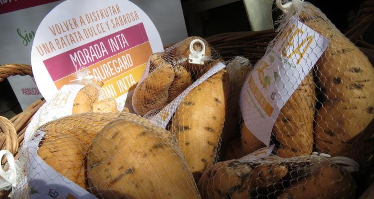 Feria Frutos de la Tierra y el Río: INTA lanzó una nueva batata al mercado