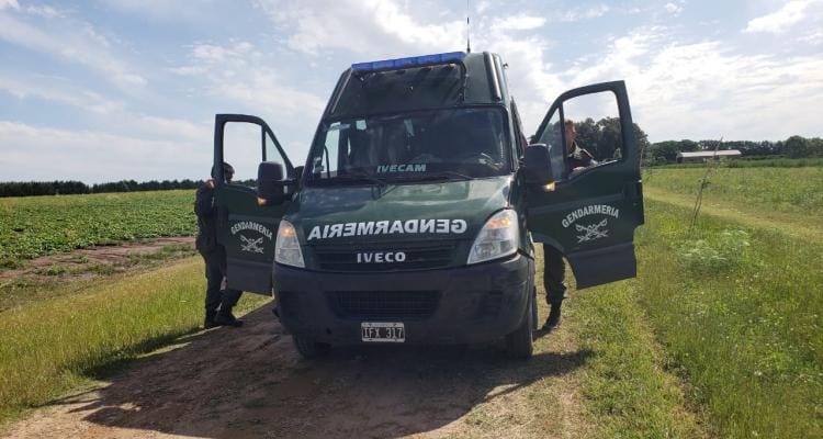 Megaoperativo por narcotráfico: Gendarmería allanó un campo en San Pedro