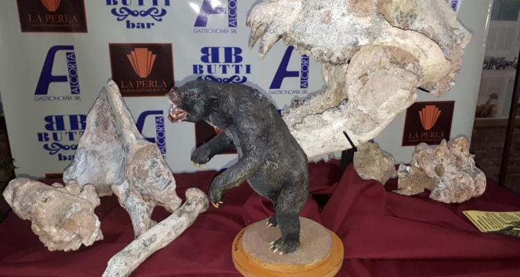 Museo Paleontológico: exhiben los restos de un oso prehistórico gigante, uno de los hallazgos más importantes de la zona