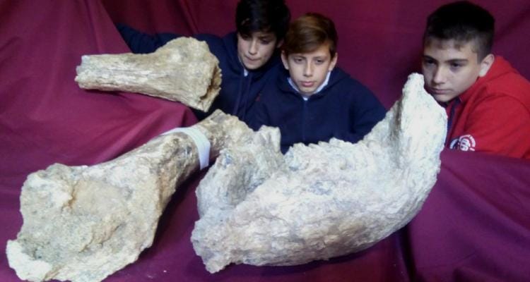 Investigan si el Barrio La Tosquera no es un “cementerio de mastodontes”
