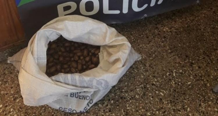 Gobernador Castro: Una pareja robó 15 kilos de nueces y fue aprehendida por la Policía