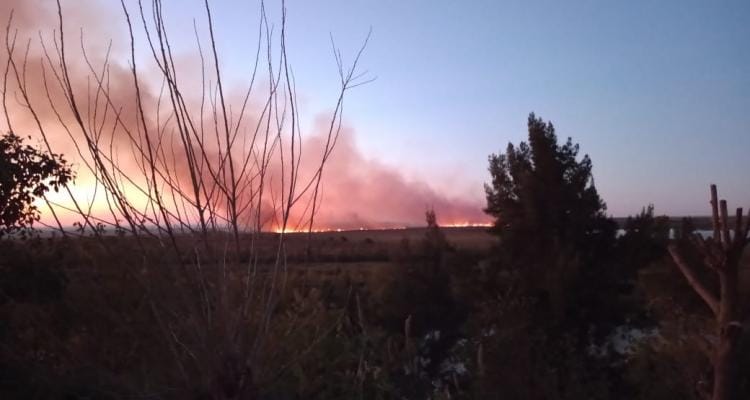 Incendios en zona de islas: el fuego avanza frente a San Pedro y el humo afecta la ciudad