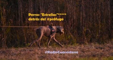 #RadioCuarentena: Qué pasa Lilí? 08/05