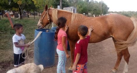 Agradecimiento: Patrulla rural recupero caballos robados