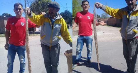 Vecinos encontraron una víbora en un terreno de Güemes y 35 bis