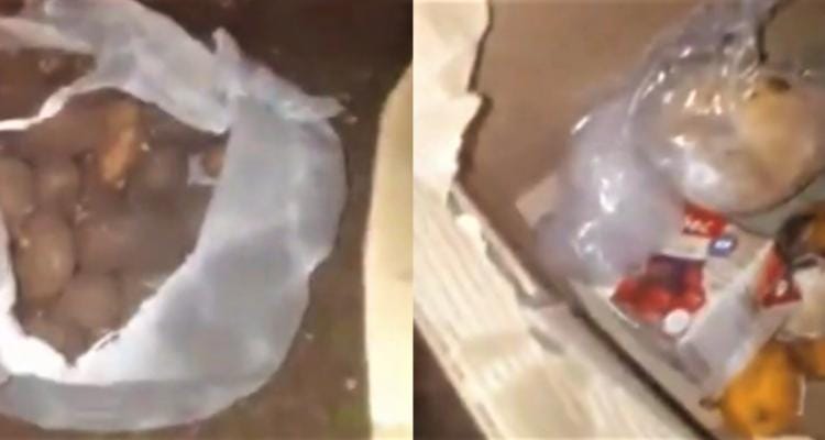 [VIDEO] Consejera escolar denunció que tiraron mercadería y verdura de una escuela, que eran para los chicos