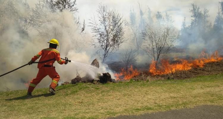 Incendio en el Paseo Público: Bomberos trabajan para controlar el fuego