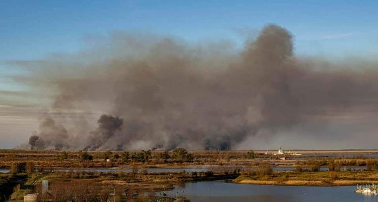 Incendios en las islas: el Municipio fue al Defensor del Pueblo de la Nación y apuntó a la provincia de Entre Ríos