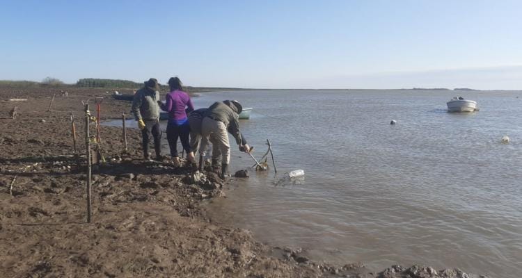 Vuelta de Obligado: arqueólogos llegaron a la localidad para analizar las cadenas halladas en el río