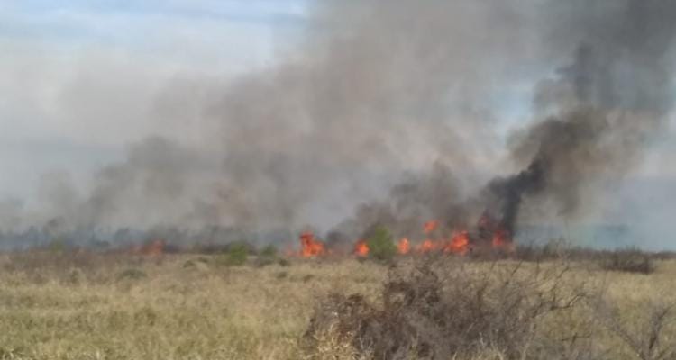 Incendios en la zona de islas: vecinos de Los Lobos tuvieron el fuego a metros de sus viviendas