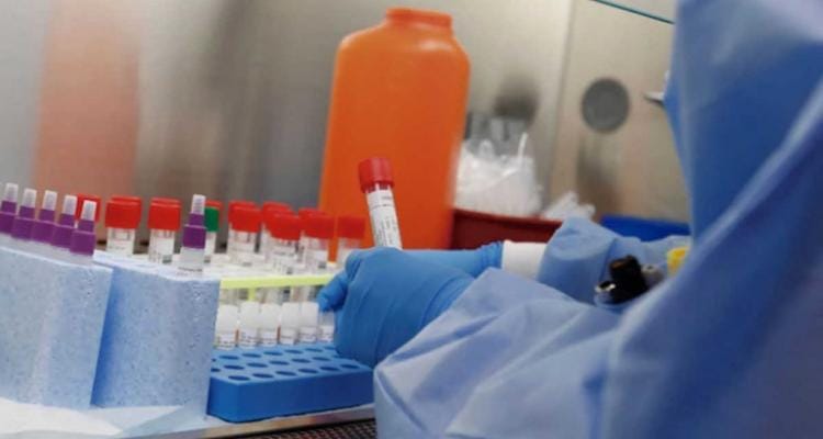Coronavirus: el Gobierno confirmó 7 nuevos casos positivos este sábado