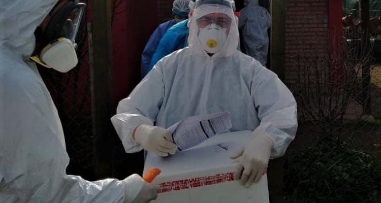 Coronavirus: expectativa por los resultados que llegarán desde el Instituto Maiztegui
