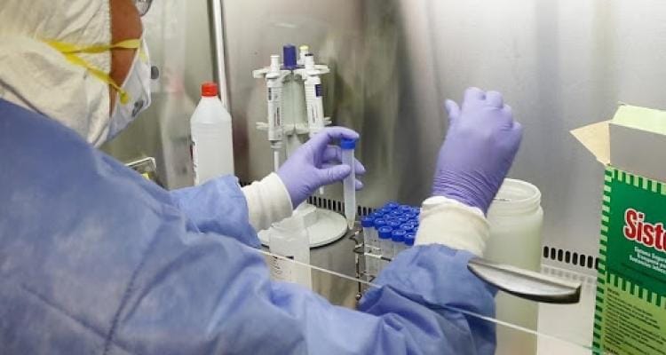 Coronavirus: confirmaron 6 casos positivos para San Pedro y hay 140 análisis pendientes