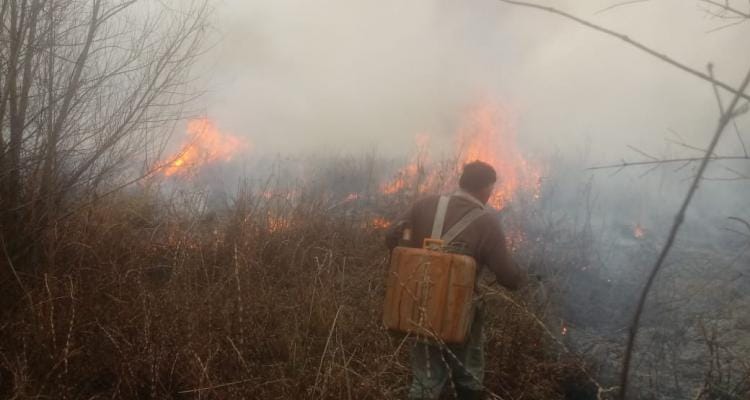 Incendios en zona de islas: El testimonio de un sampedrino que, con su familia, apagó un foco con baldes y mochilas de agua