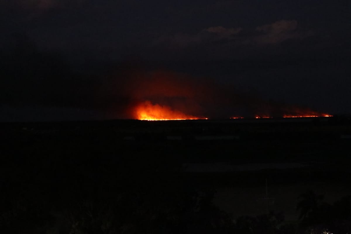 Incendios en la zona de islas: la Ley de Manejo del Fuego recibió media sanción pero las quemas no cesan