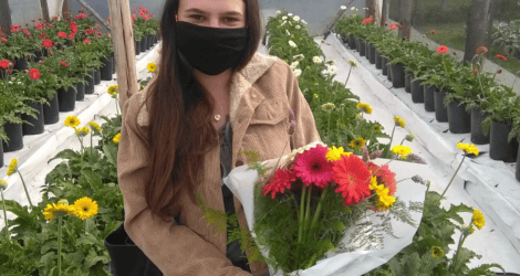 Sin Galera: Eliana ganó el ramo de gerberas de Flores de Paraná