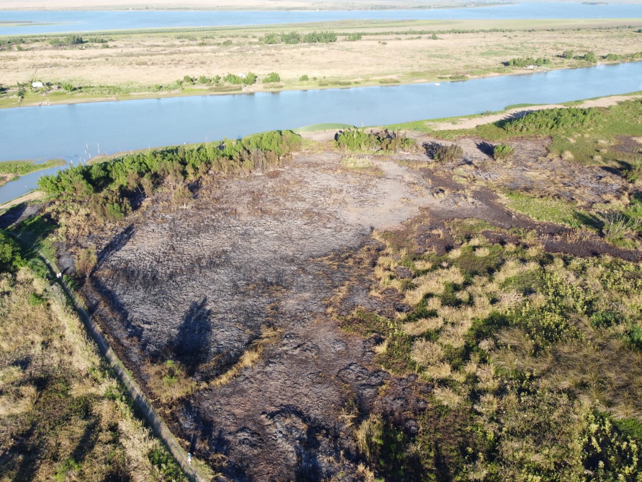 Incendio en el Paseo Público 2: impulsores del proyecto de Reserva Natural piden convertirlo en “aula abierta”