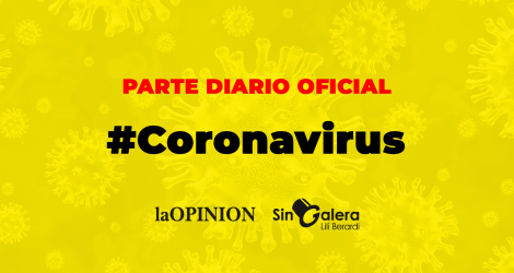 Coronavirus: informaron 19 nuevos casos positivos, más de la mitad de las muestras recibidas