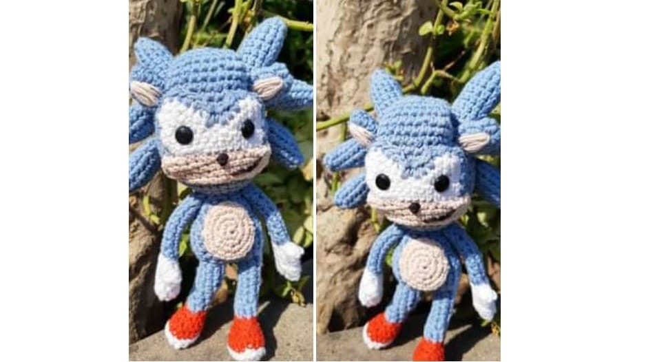 Buscan a “Sonic”