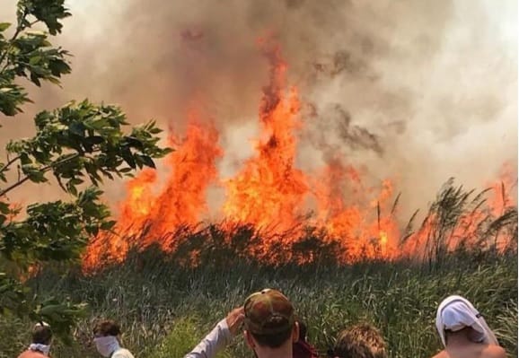El fuego arrasó con más de 200 hectáreas de la isla Los Lobos