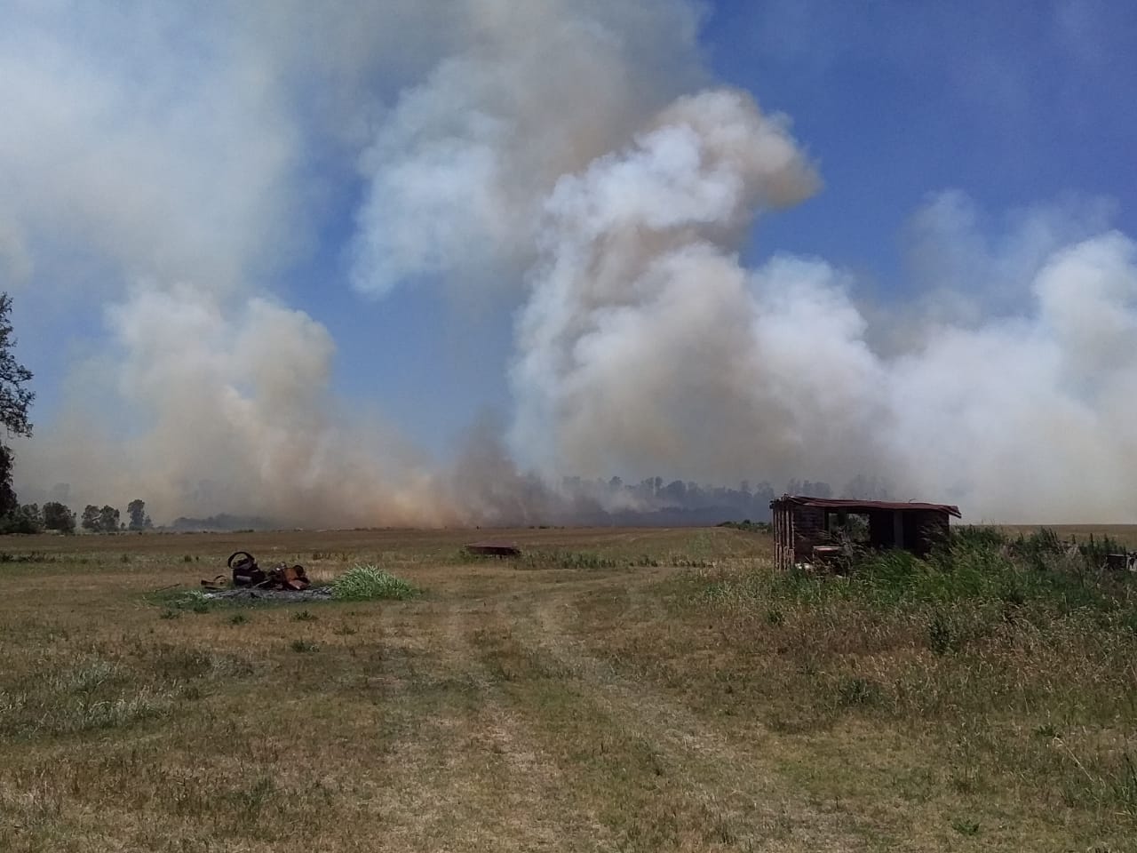Varias dotaciones de Bomberos Voluntarios intervienen en un incendio en un campo próximo a Gobernador Castro