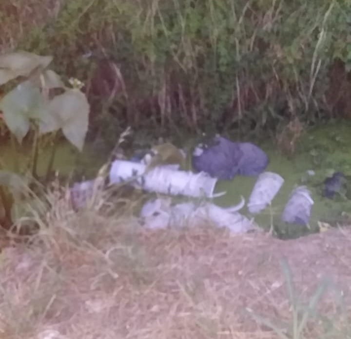 Vecinos de Frers y Rómulo Naón piden que dejen de arrojar basura