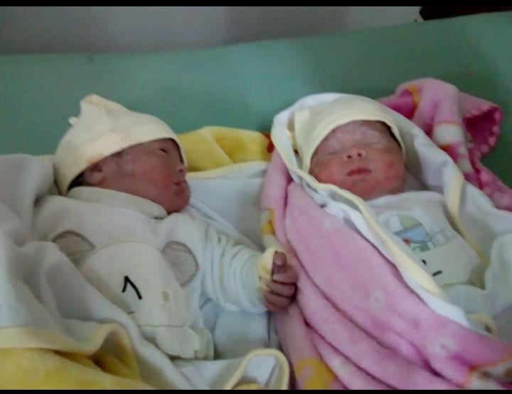 Nacieron las gemelas Blondie y Aitana