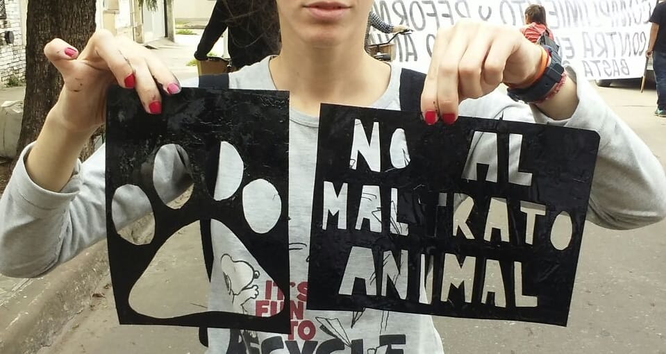 Proteccionistas organizan una marcha contra el maltrato animal en San Pedro