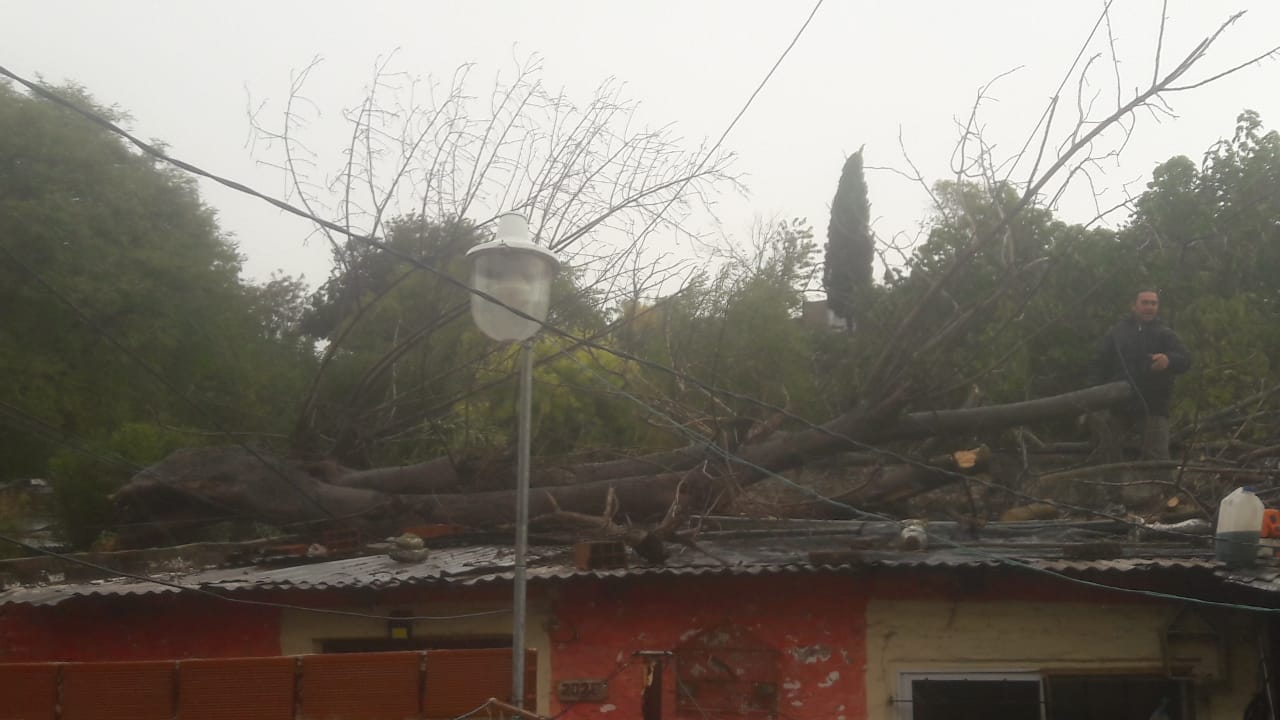 Árbol caído sobre casa en San Loreno al 2200