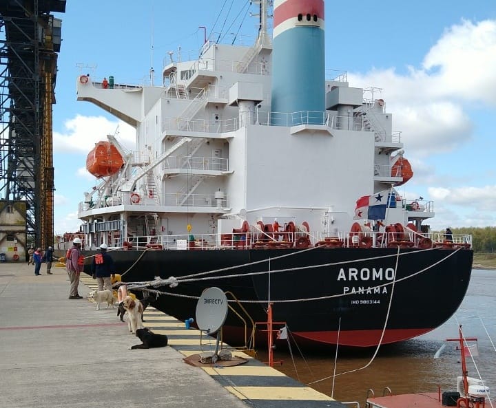 Bajante del río Paraná: barco tuvo que cargar 1500 toneladas menos de trigo para poder salir del puerto