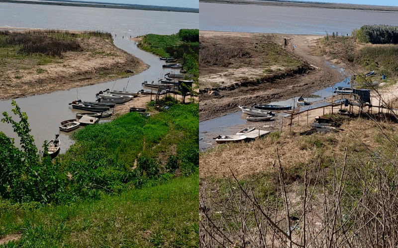Bajante del Río Paraná: el registro de Evangelina en la bajada de pescadores