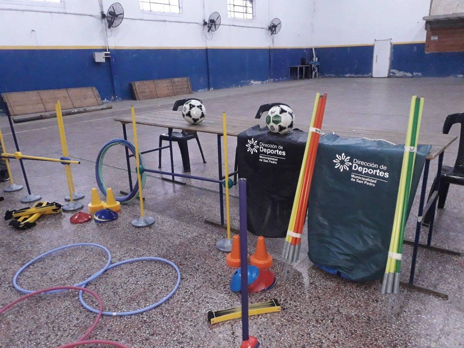 Fondo deportivo: qué materiales deportivos comprados con casi 1 millón de pesos recibieron más de 20 clubes