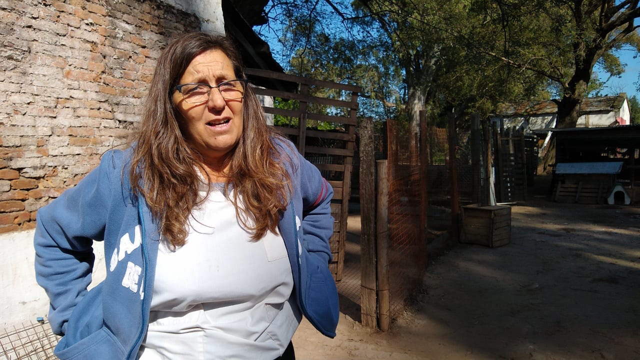 Cecilia Tarsetti, encargada del refugio canino: “Para el que quiere ver en qué se gasta el dinero, las puertas están abiertas”