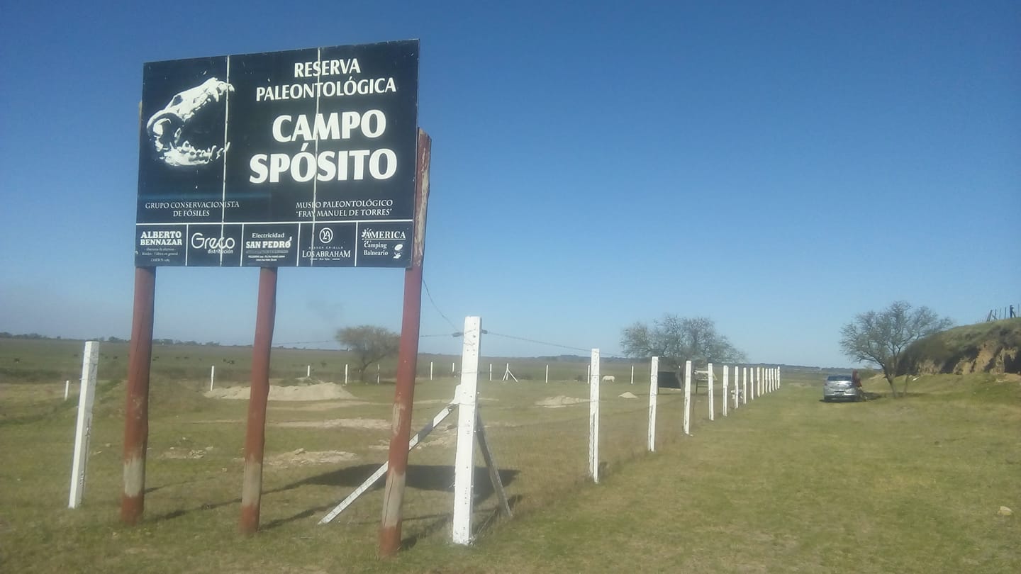 20 años del yacimiento Campo Spósito: el Museo Paleontológico invita a una visita guiada gratuita