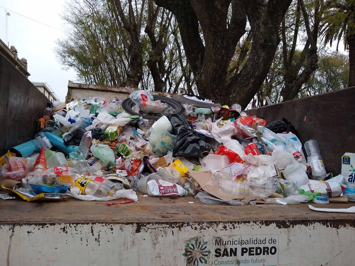 Contenedores de reciclado en plaza Constitución: “Encontramos desde pañales hasta animales muertos”