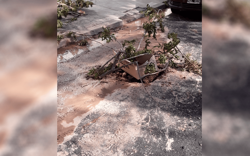 Reporte ciudadano: “Rompieron el pavimento recién hecho por una pérdida de agua”