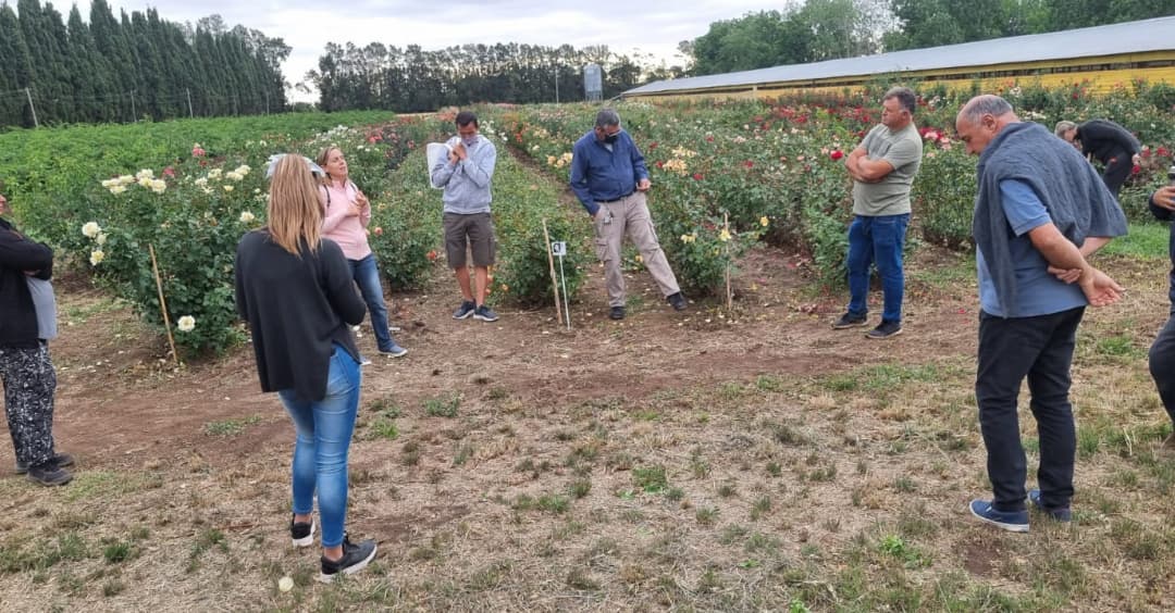 Día de la Rosa: paisajistas, viveristas y técnicos de Inta se reúnen en Quinta Manacor