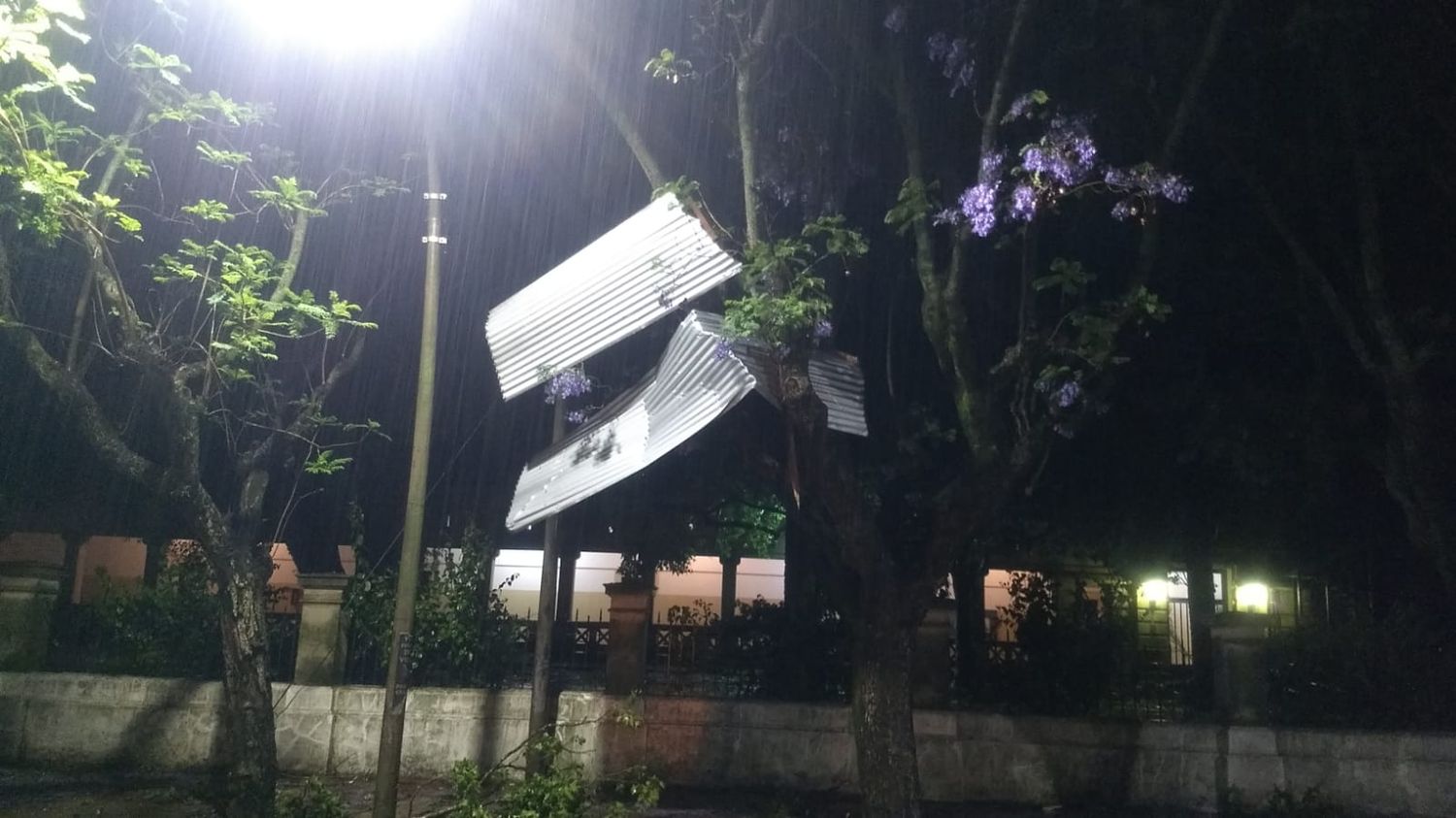 Tormenta: volaron chapas y quedaron entre los árboles de la escuela Normal