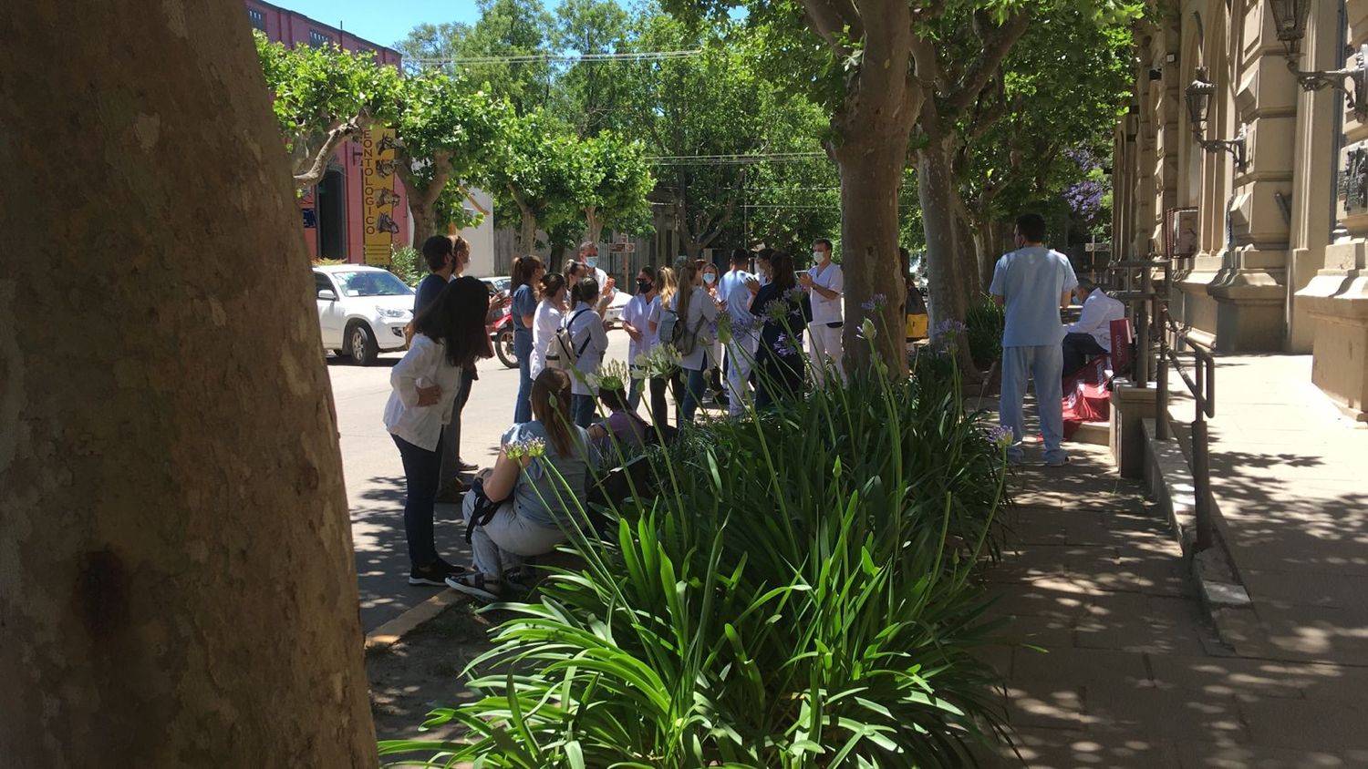 Paro de Cicop: médicos manifiestan frente a la municipalidad