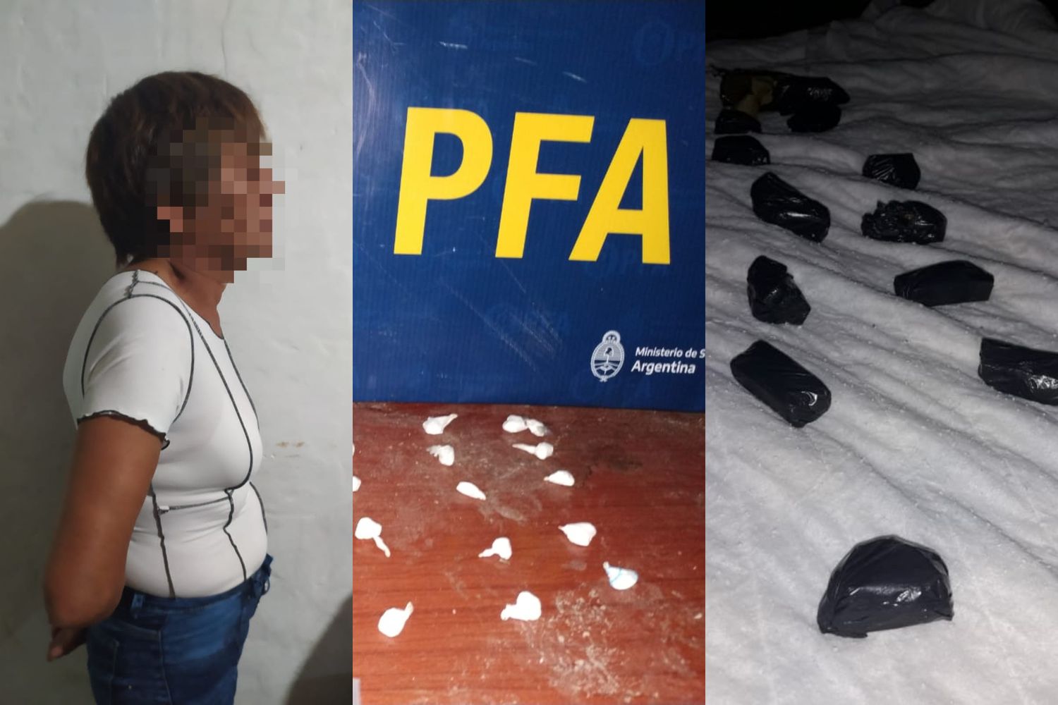 Detuvieron a una mujer de 60 años, líder de una banda dedicada a la venta de drogas: secuestraron un kilo de cocaína