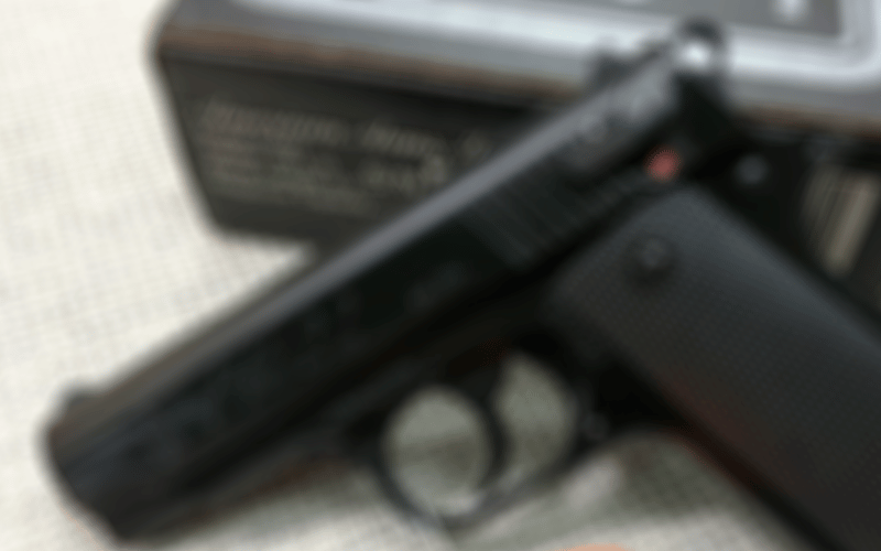 Denunciaron el robo de una pistola calibre 22 de un domicilio