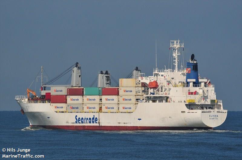 Puerto: llega un buque con bananas de Ecuador, tras 20 años sin una operatoria similar en el país