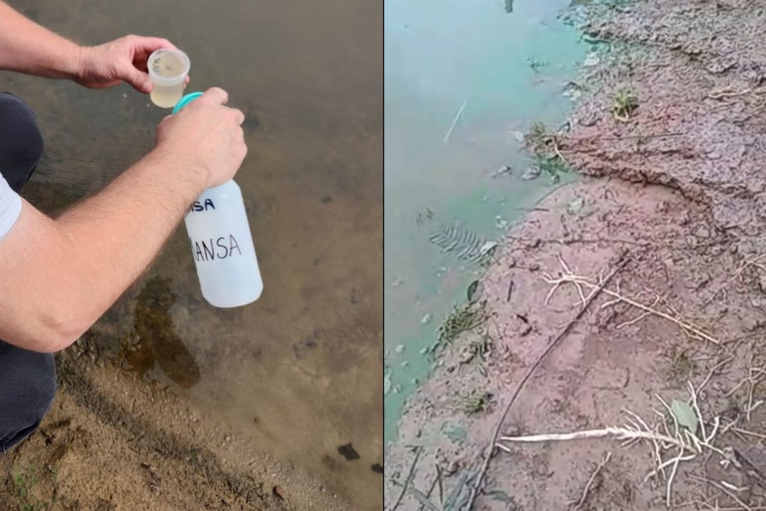 Cianobacterias: llevaron packs de agua a la isla y recomiendan no bañarse en la costa
