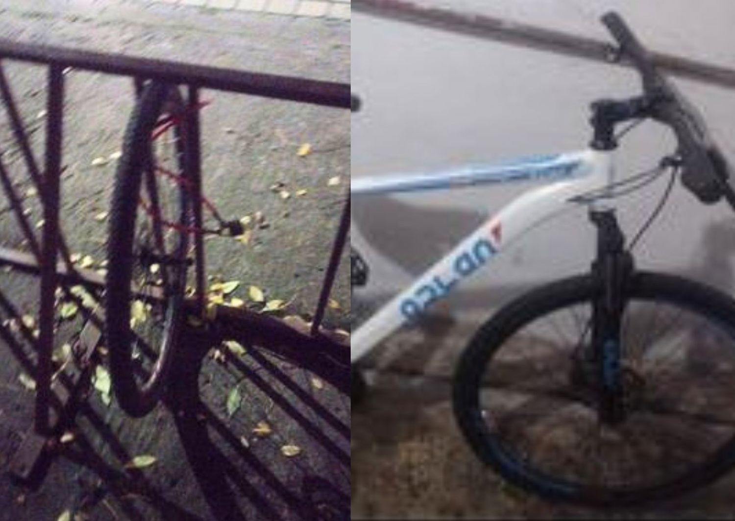 La bicicleta robada es marca Odlan y el dueño busca poder recuperarla. "La denuncia ya está hecha, pero cualquier dato sirve", escribieron a La Opinión.