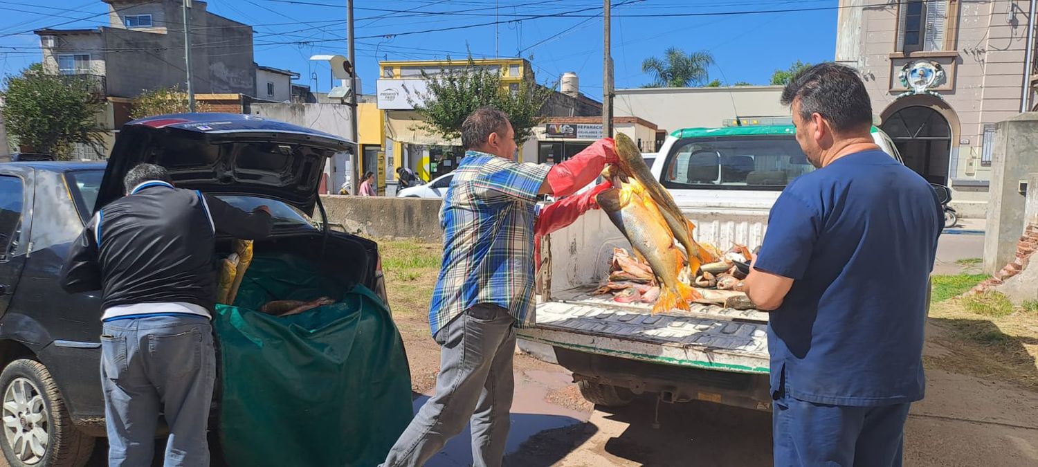 Confirmaron que el pescado fue adquirido en el sitio denunciado por un integrante de ADDyPPesca.